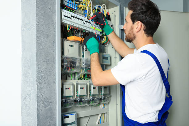 Best Electric Panel Repair  in Tiffin, IA